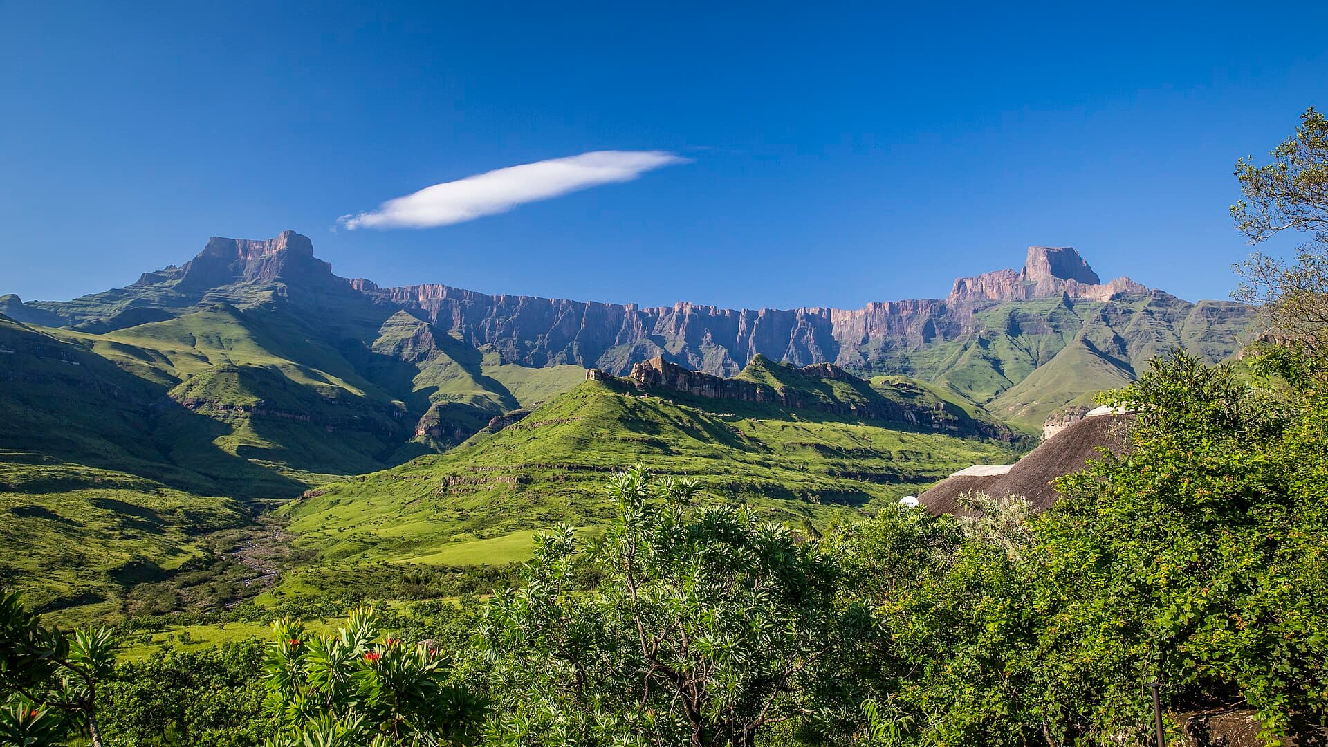 Basaltklippen des Drakensberg-Amphitheaters erheben sich über grünen Ausläufern, Royal-Natal-Nationalpark