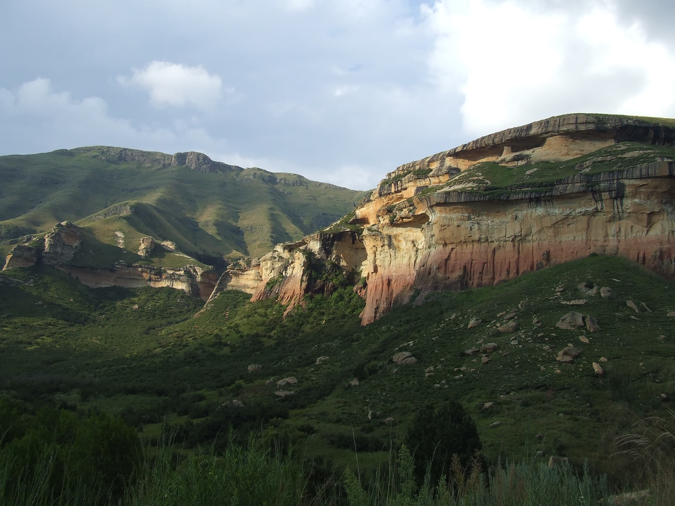 Golden, deeply eroded sandstone cliffs rising above grassland at Golden Gate Highlands National Park, Free State, South Africa.