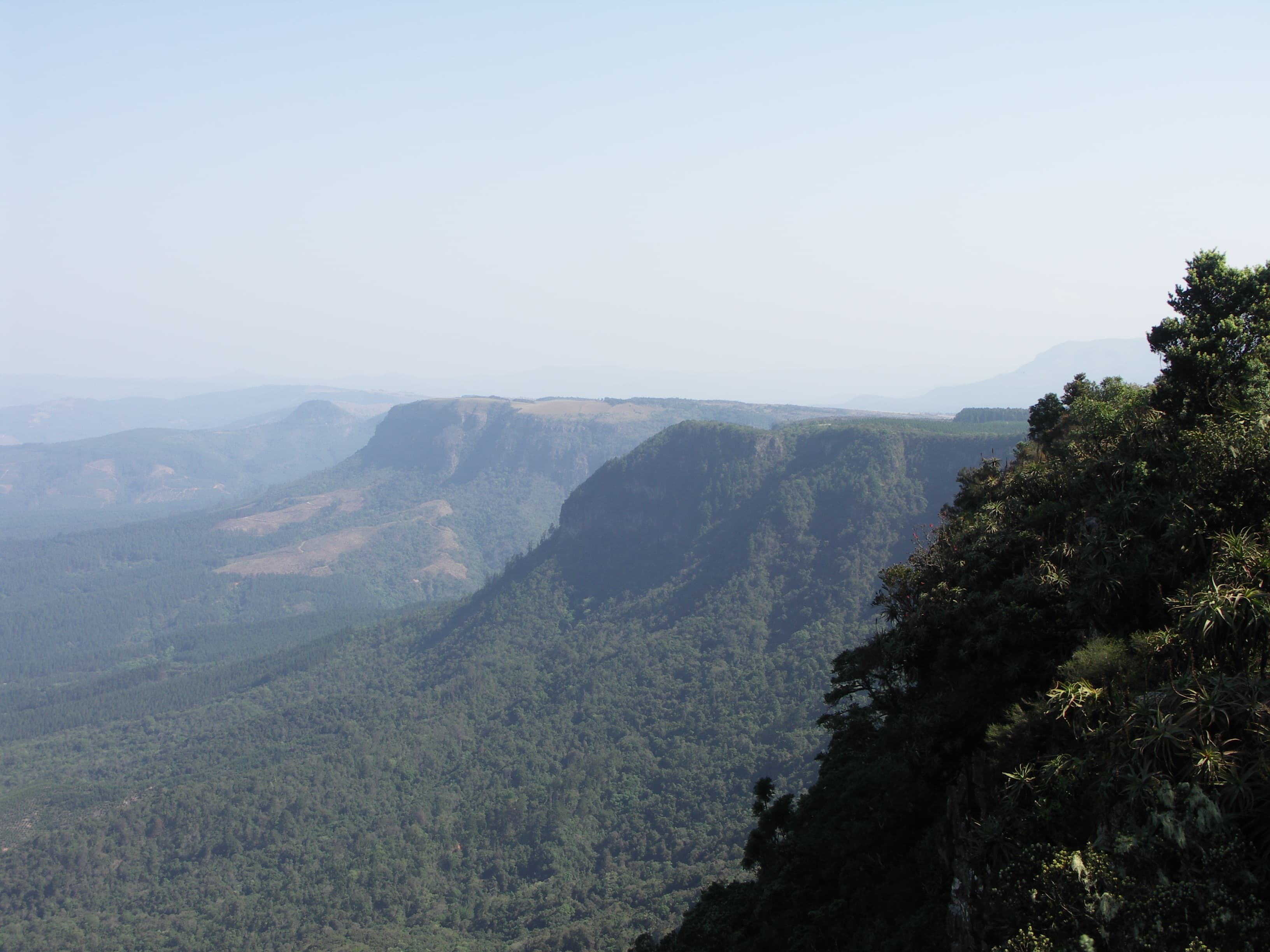 Sweeping Lowveld panorama from God's Window viewpoint on the Panorama Route escarpment near Graskop, Mpumalanga