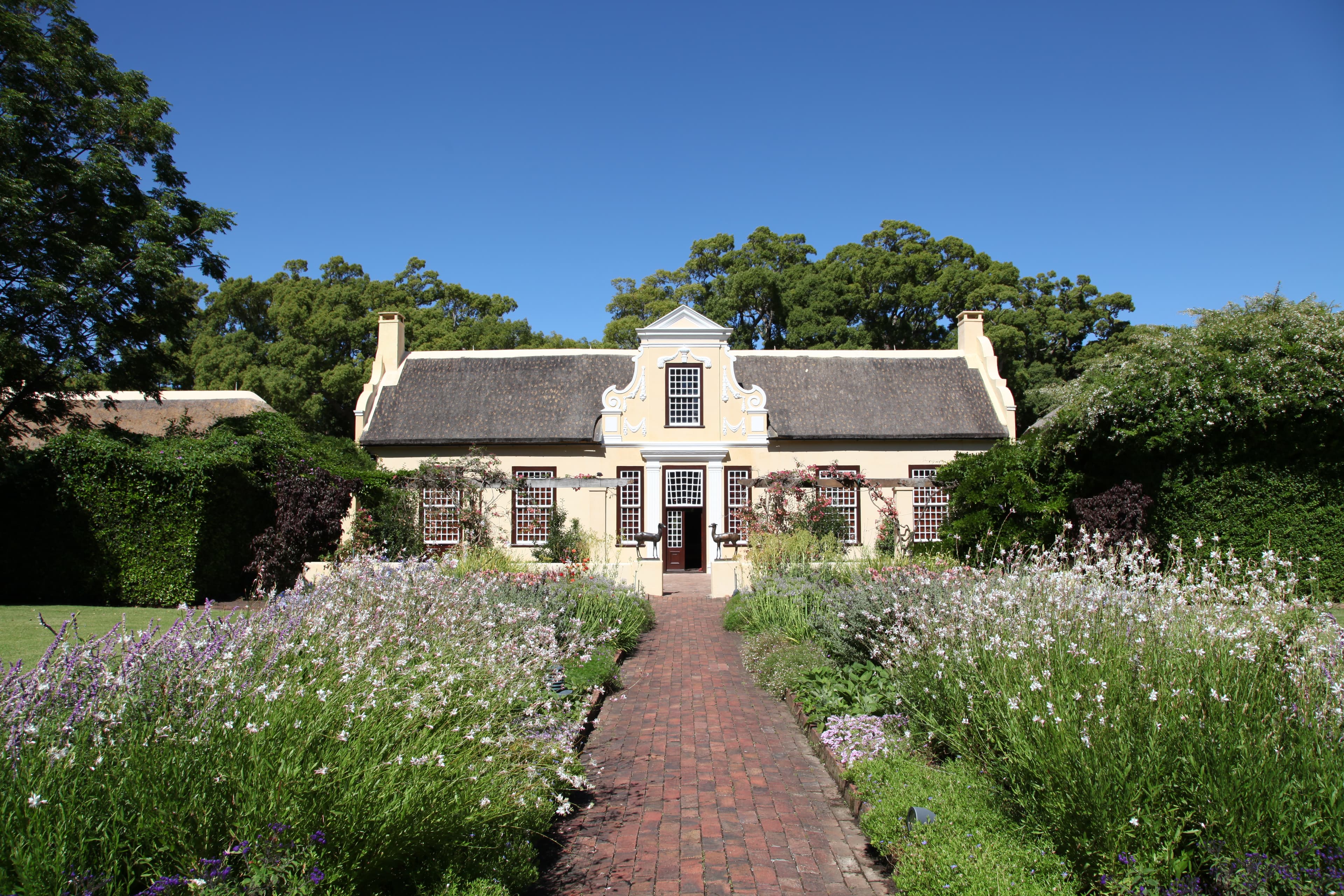 The early-1700s Vergelegen homestead at the end of a brick garden path, framed by deep beds of white and lavender flowers under a clear blue sky.
