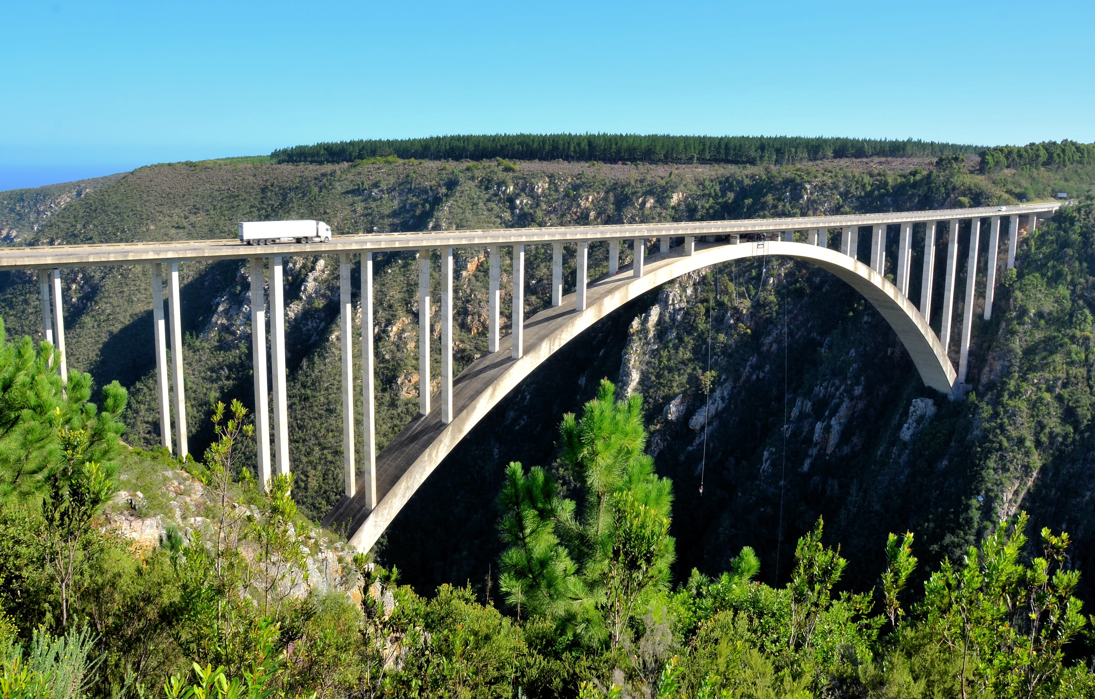The Bloukrans Bridge arching high over its river gorge